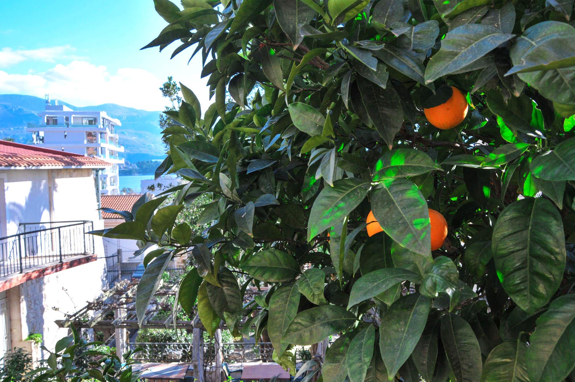 Apartments Orange บุดวา ภายนอก รูปภาพ